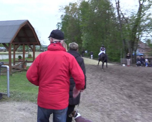 Reitturnier Olfen-Vinnum 2017