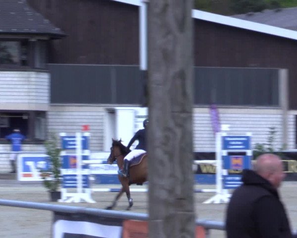 Reitturnier Olfen-Vinnum 2017