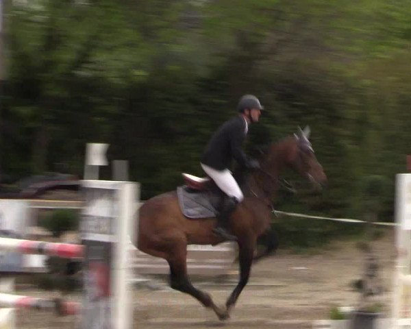 Reitturnier Havixbeck 2017