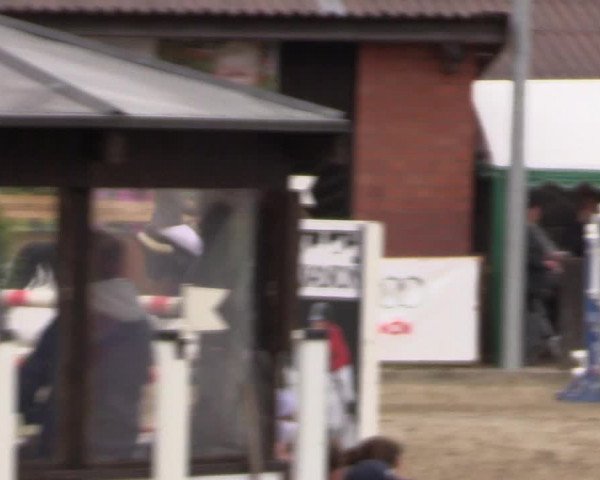 Reitturnier Havixbeck 2017
