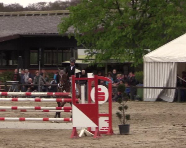 Reitturnier Havixbeck 2017