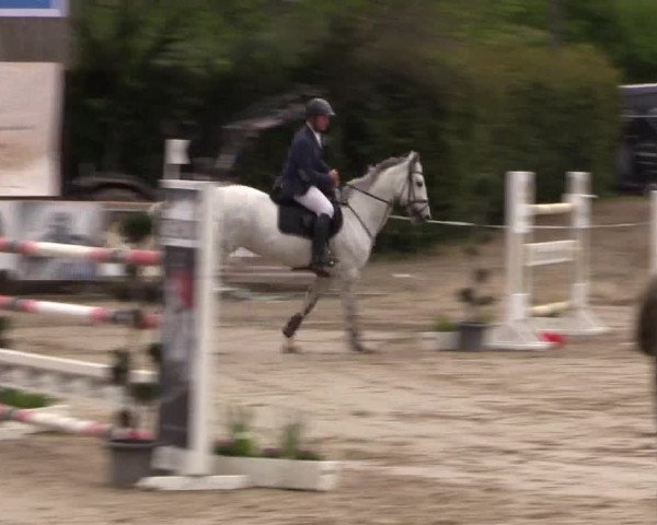 Reitturnier Havixbeck 2017