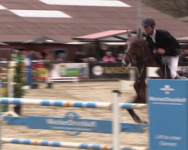 Reitturnier Havixbeck 2017