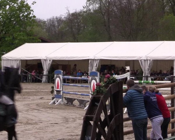 Reitturnier Havixbeck 2017