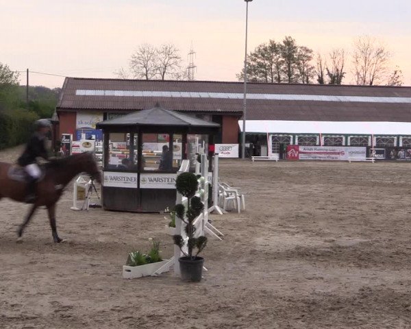 Reitturnier Havixbeck 2017