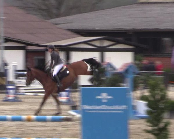Reitturnier Havixbeck 2017