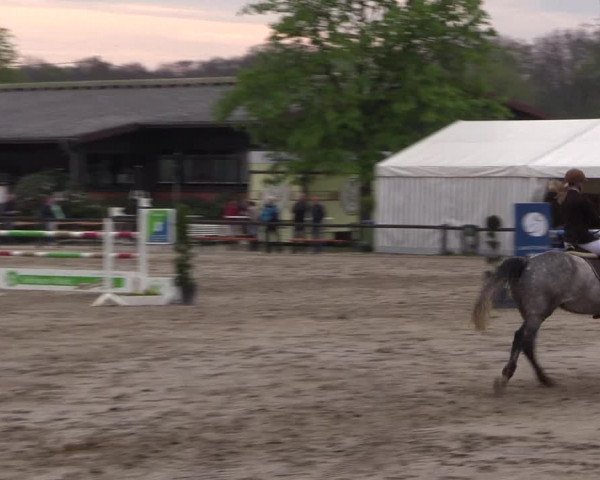 Reitturnier Havixbeck 2017