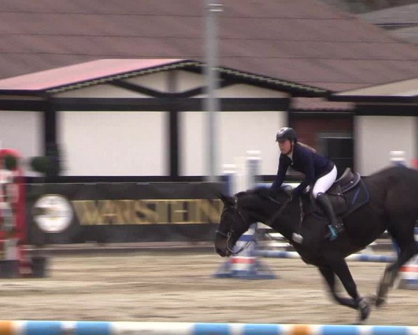 Reitturnier Havixbeck 2017