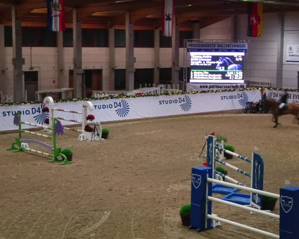 Christmas Jumping Trophy Prussendorf 2021