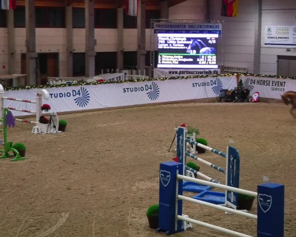 Christmas Jumping Trophy Prussendorf 2021