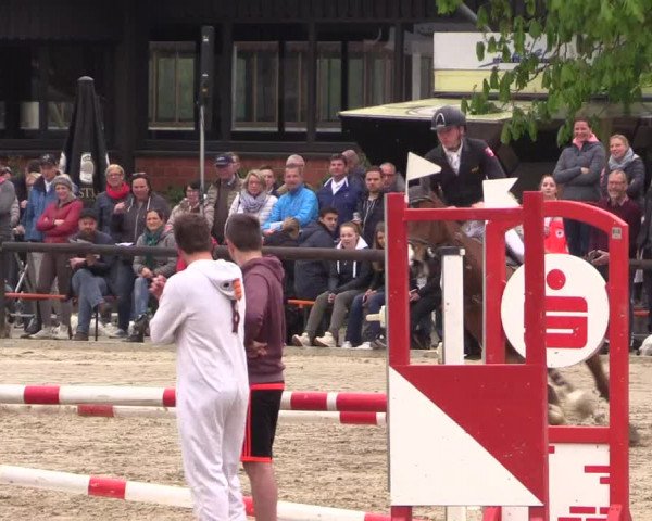 Reitturnier Havixbeck 2017