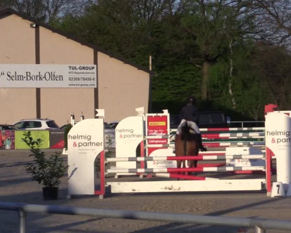 Reitturnier Olfen-Vinnum 2017