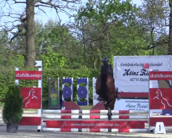Reitturnier Olfen-Vinnum 2017