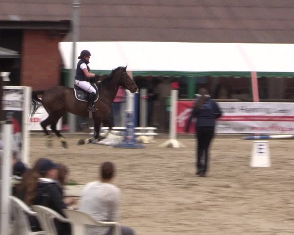 Reitturnier Havixbeck 2017