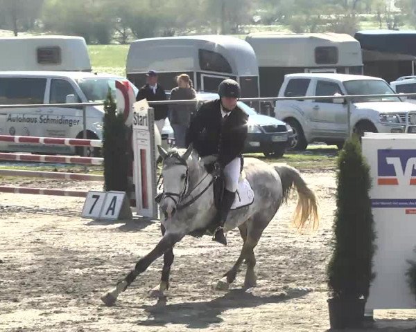 Reitturnier Leutkirch-Diepoldshofen 2017