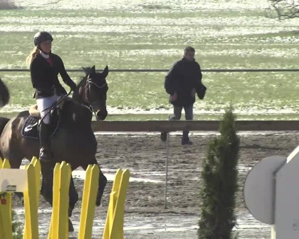 Reitturnier Leutkirch-Diepoldshofen 2017