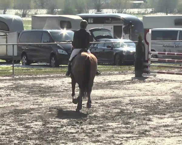 Reitturnier Leutkirch-Diepoldshofen 2017