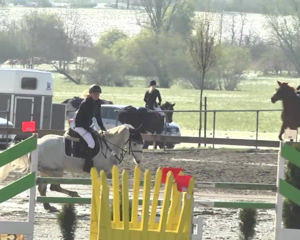 Reitturnier Leutkirch-Diepoldshofen 2017