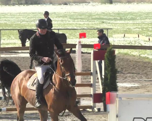 Reitturnier Leutkirch-Diepoldshofen 2017