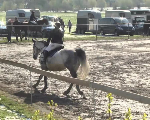 Reitturnier Leutkirch-Diepoldshofen 2017