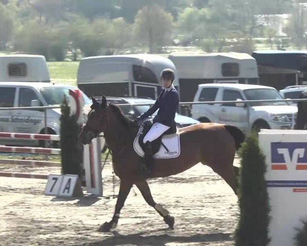 Reitturnier Leutkirch-Diepoldshofen 2017