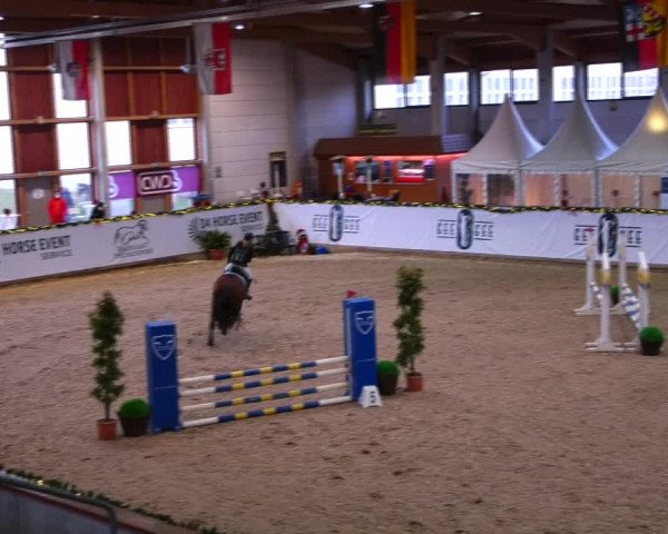 Christmas Jumping Trophy Prussendorf 2021
