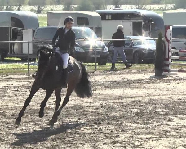 Reitturnier Leutkirch-Diepoldshofen 2017