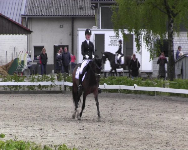 Reitturnier Olfen-Vinnum 2017