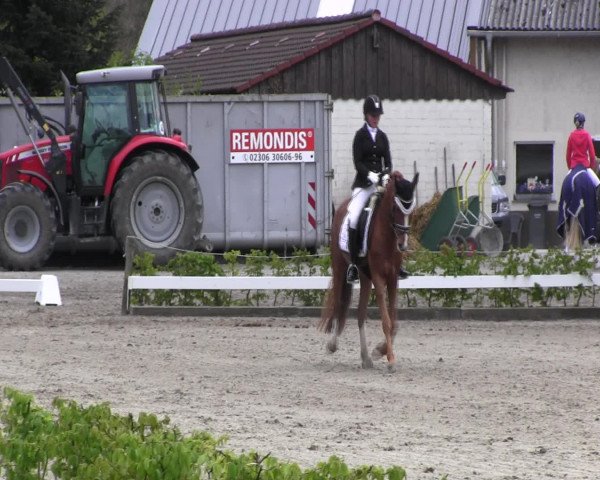 Reitturnier Olfen-Vinnum 2017