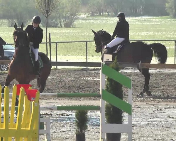 Reitturnier Leutkirch-Diepoldshofen 2017