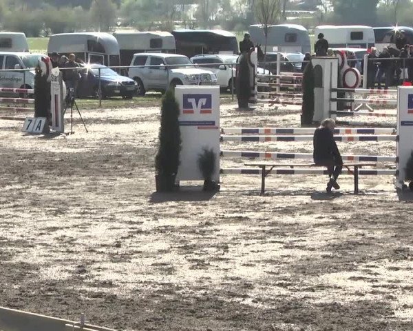 Reitturnier Leutkirch-Diepoldshofen 2017