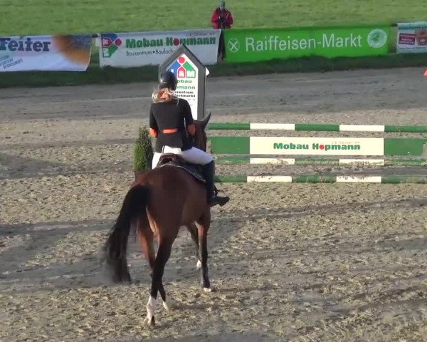 Reitturnier Xanten - Moermter 2017