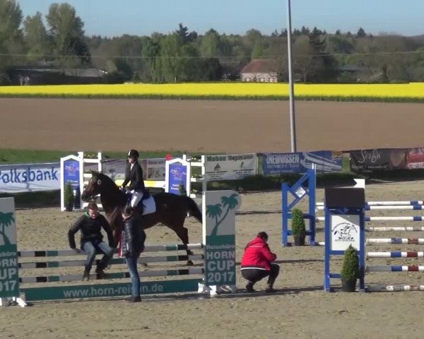 Reitturnier Xanten - Moermter 2017