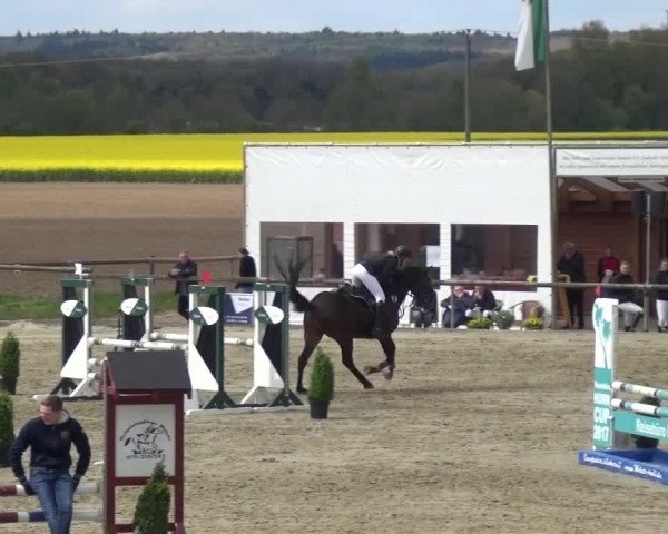 Reitturnier Xanten - Moermter 2017