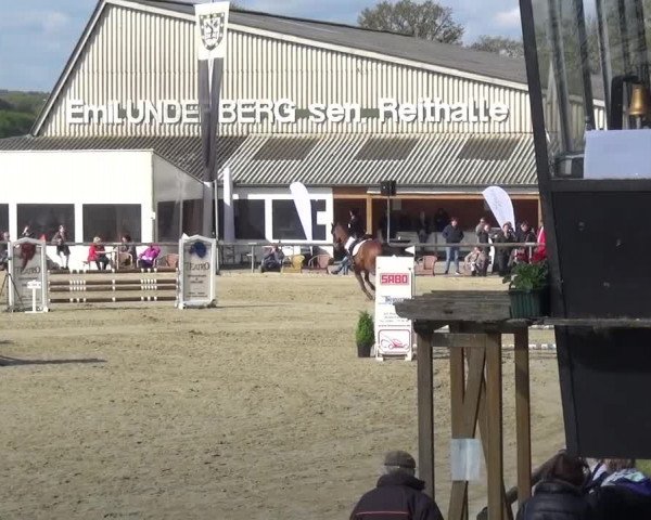 Reitturnier Xanten - Moermter 2017