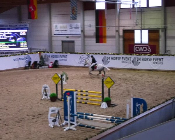 Christmas Jumping Trophy Prussendorf 2021