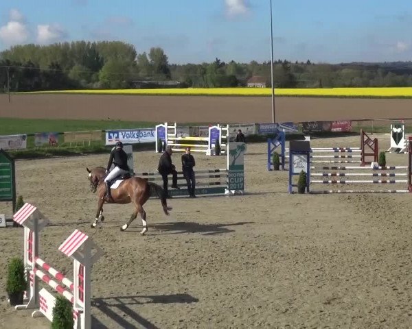 Reitturnier Xanten - Moermter 2017