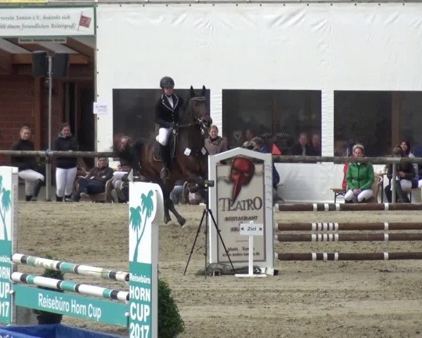 Reitturnier Xanten - Moermter 2017