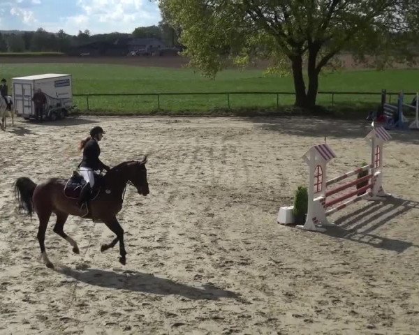 Reitturnier Xanten - Moermter 2017