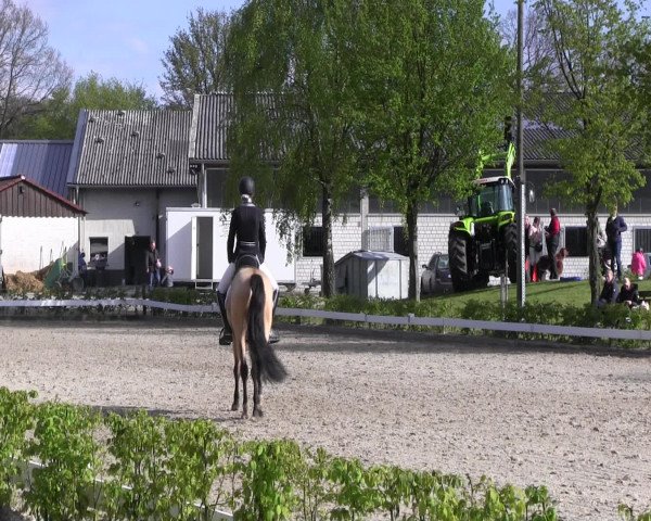 Reitturnier Olfen-Vinnum 2017