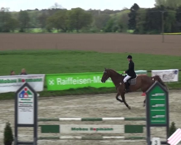 Reitturnier Xanten - Moermter 2017