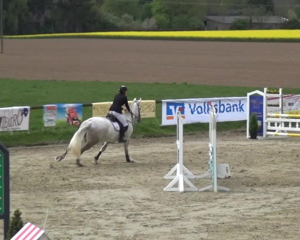 Reitturnier Xanten - Moermter 2017