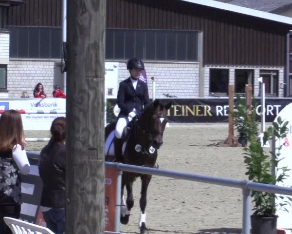 Reitturnier Olfen-Vinnum 2017