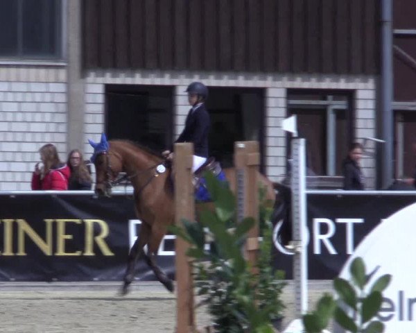 Reitturnier Olfen-Vinnum 2017