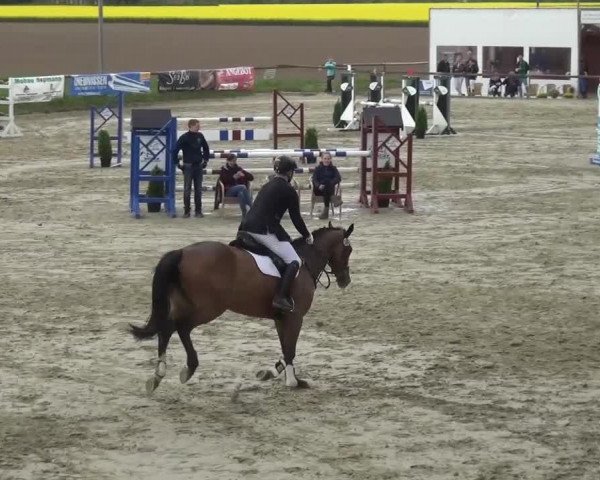 Reitturnier Xanten - Moermter 2017