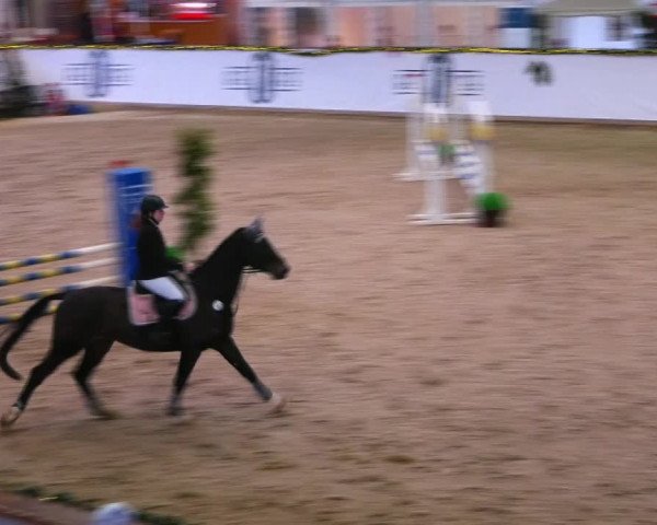 Christmas Jumping Trophy Prussendorf 2021