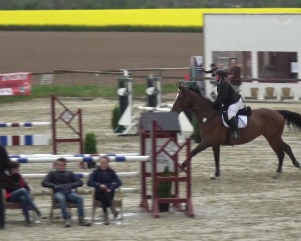 Reitturnier Xanten - Moermter 2017