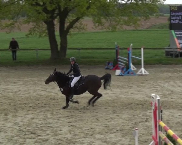 Reitturnier Xanten - Moermter 2017