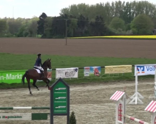Reitturnier Xanten - Moermter 2017