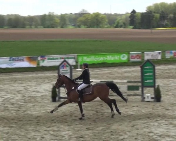 Reitturnier Xanten - Moermter 2017